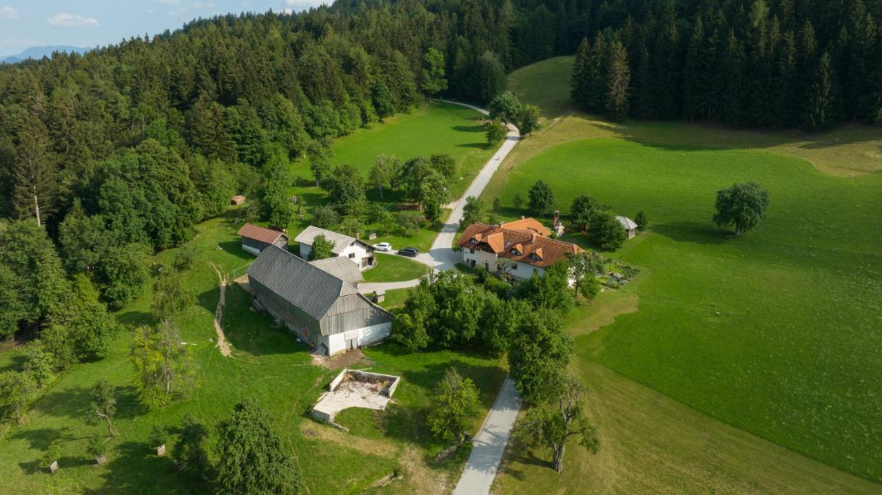 Eco Tourist Farm Ravnjak Slovenj Gradec Exteriör bild