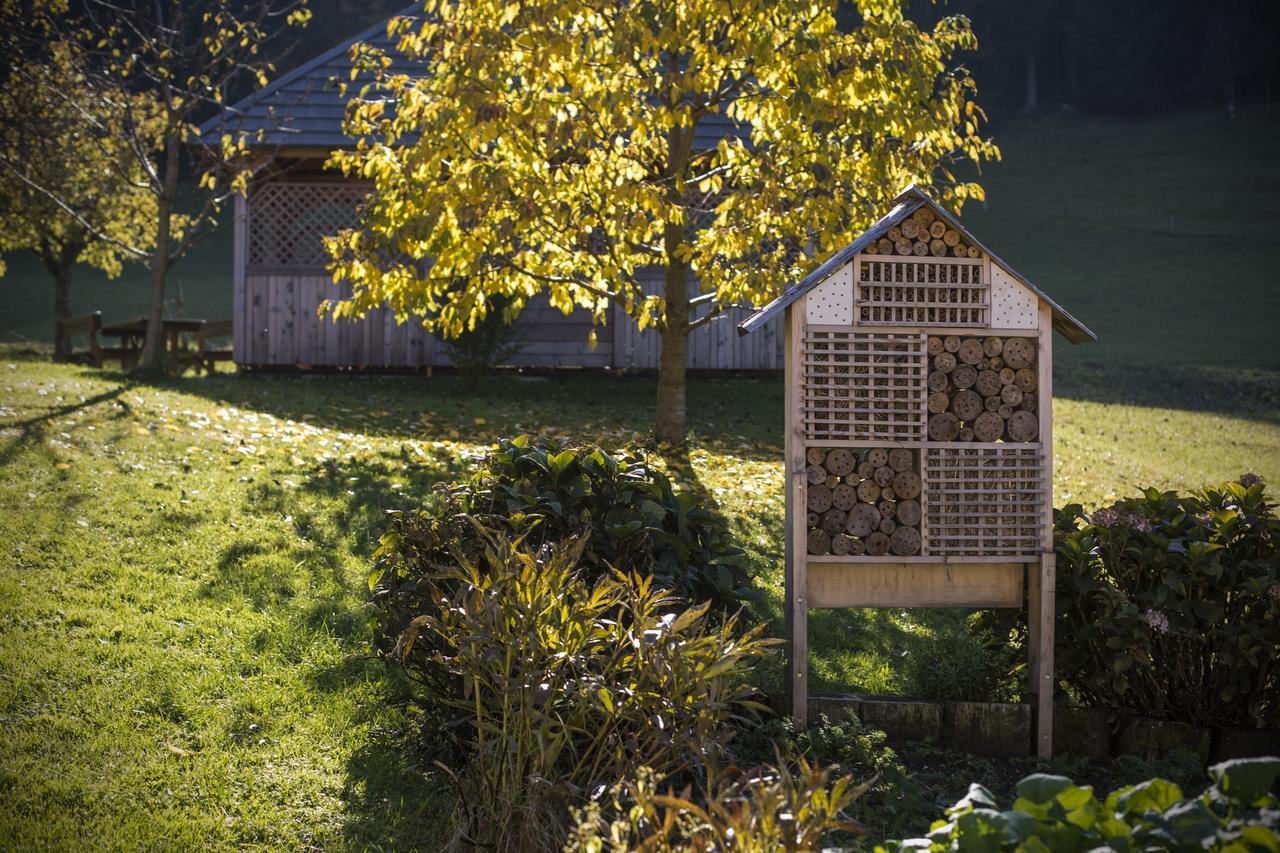 Eco Tourist Farm Ravnjak Slovenj Gradec Exteriör bild